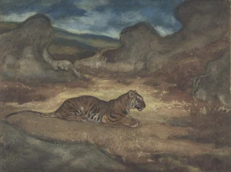 Tigre nel paesaggio