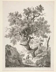 Senza titolo [Uomo seduto vicino a un albero]