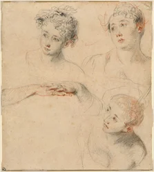 Tre studi della testa di una donna e uno studio delle mani (recto)