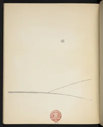 Stella, illustrazione da 