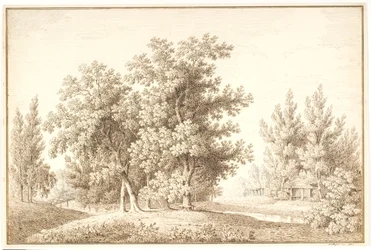 Parco con corso d