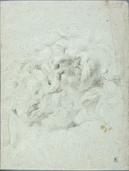 Testa del Gruppo Laocoon