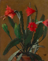 Natura morta con cactus in fiore