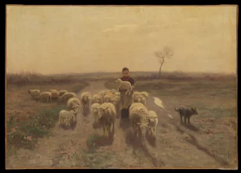Una pastora e il suo gregge