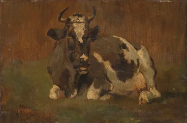 Mucca sdraiata