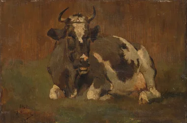Mucca bugiarda