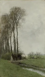 Cavalli al cancello