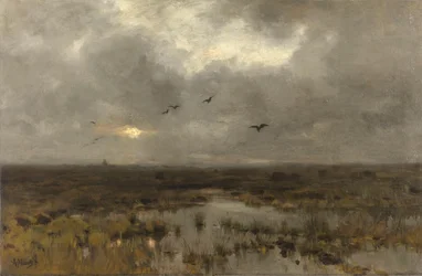 La palude
