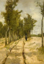 La Torenlaan a Laren