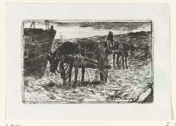 Carri sulla spiaggia