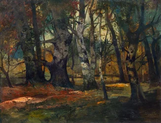 Bosco autunnale