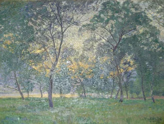 Serata nell