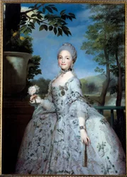 Ritratto di Maria Luisa di Parma, Principessa delle Asturie