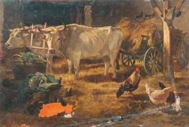 Buoi nella stalla