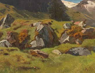 Studio delle rocce a Ferleiten
