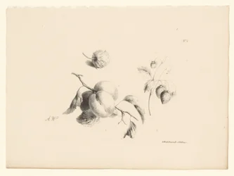 Albicocche e fragole