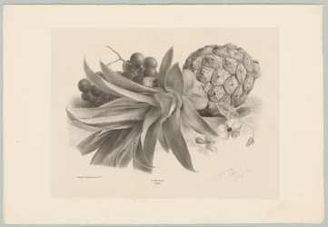 Ananas e uva