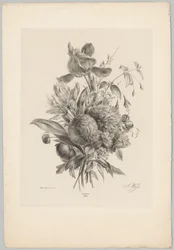 Garofani e gigli