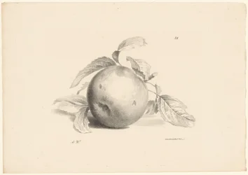Frutta (serie)