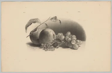 Mele, bacche, mora e uva (serie: Studi di fiori e frutta, 3ª puntata)