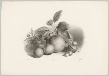 Fiori, nettarine e nocciole
