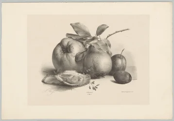 Frutta, prugne e ostriche
