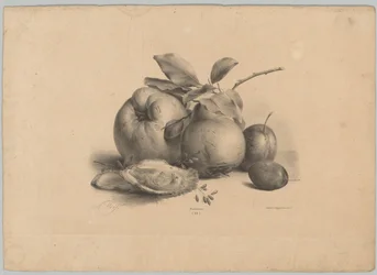 Frutta, prugne e ostriche