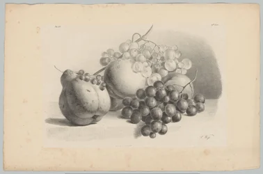 Zucca, bacche, uva e pesche