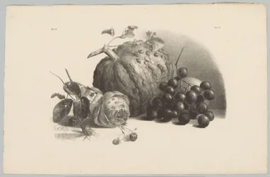 Zucca, uva, rosa e fragole