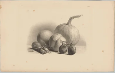 Zucca, pesche, albicocca, prugne e nocciole (serie: Studi di fiori e frutta, 3ª puntata)