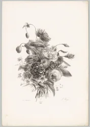Rose e altri fiori (serie Bloem en Fruit Studien, 10e aflevering)