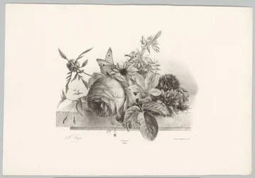 Rose, gigli, fiori a campana e farfalla (serie Bloem en Fruit Studien, 10e aflevering)