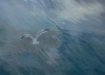 Gabbiano in volo, 2012