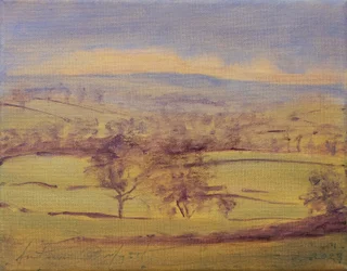 Alberi del Somerset