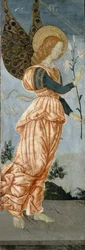 Angelo dell