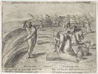 Il raccolto