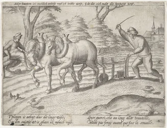 Aratura del campo