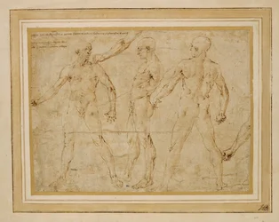 Tre nudi maschili, di fronte, di spalle e di profilo; ...
