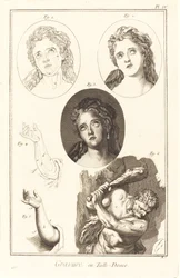 Incisione in Rame: pl. IV
