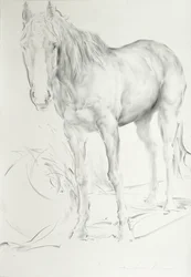Cavallo a Coolmore, 1990