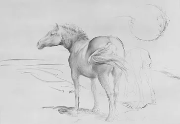 Cavalli a Coolmore, 1990
