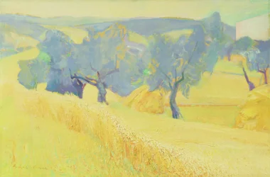 Ulivi in Toscana, 1966