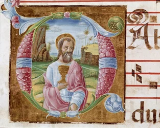 San Giovanni Evangelista Lettrine miniato da Antonio Cicognari. (dettaglio) 1483. Cremona, corale 4, capitolo del duomo