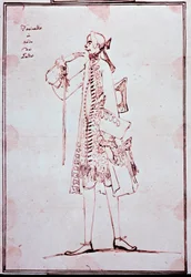 Ritratto di Carlo Broschi detto Farinelli (1705-1782) castrato italiano