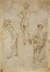 Due studi di figure maschili e San Pietro. Disegno di Antonio Pisanello, 1430-1435