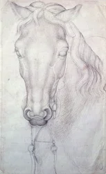Testa di cavallo