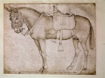 Finimenti di mulo. Disegno di Antonio Pisano detto il Pisanello