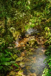 Cresta di Mantiqueira, 2021 (foto)