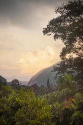 Serra dos Órgãos VIII, Petrópolis, Rio de Janeiro, Brasile, 2025 (fotografia)