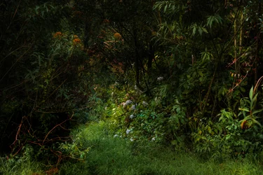 Sentieri, 2015